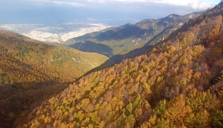 Cumhurbaşkanlığı kararnamesiyle Uludağ’daki 32 endemik bitki tehlikede