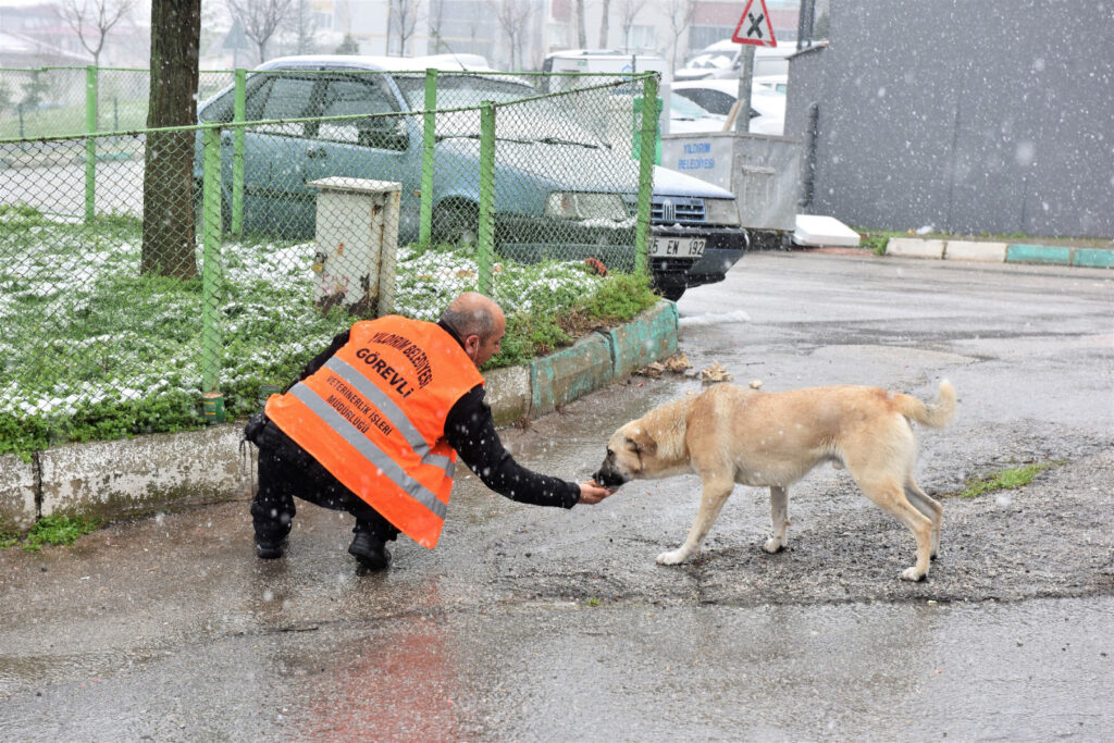 YILDIRIM’DA YOĞUN KAR MESAİSİ