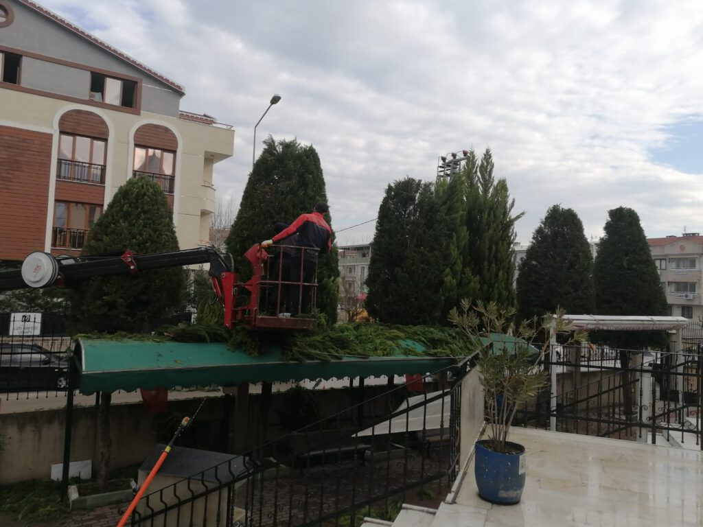 GÜRSU BELEDİYESİ KAMUSAL ALANLARA BAKIM YAPIYOR