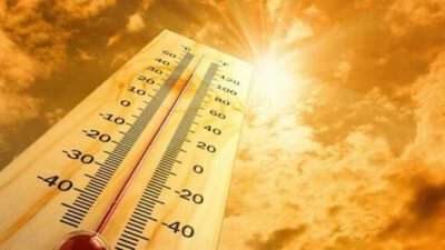 Türkiye’de son 50 senenin en sıcak 3. kış mevsimi bu yıl yaşandı
