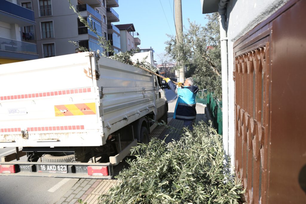 15 bin ton budama atığı değerlendirildi