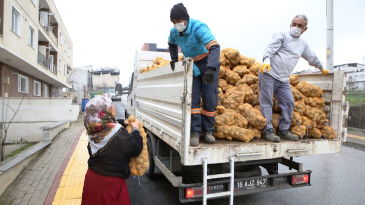 Nilüfer Belediyesi’nden patates üreticisine destek