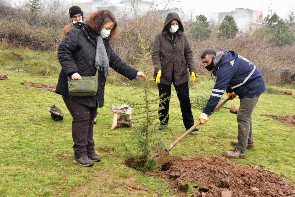 DAHA YEŞİL YILDIRIM İÇİN FİDANLAR TOPRAKLA BULUŞUYOR
