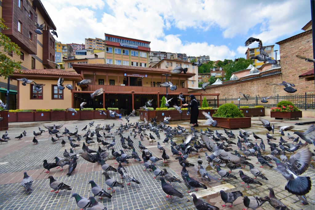 YILDIRIM’DA ‘YENİ NORMAL’ SONRASI ESKİ DÜZEN!