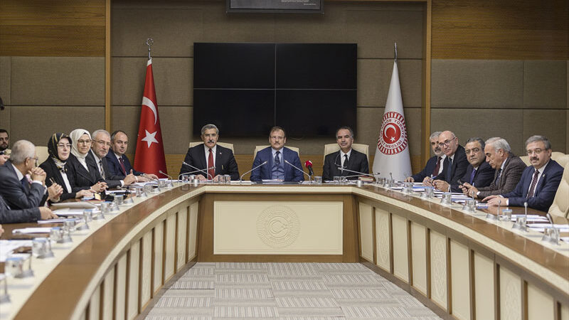 İşte İnsan Hakları Eylem Planı’nın detayları…