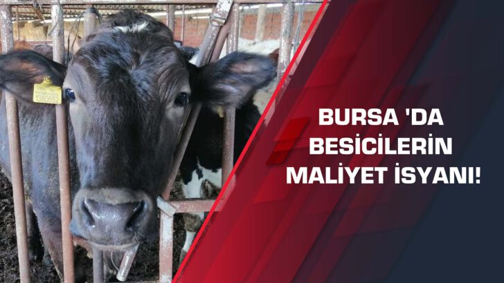 Bursa’da besicilerin maliyet isyanı!