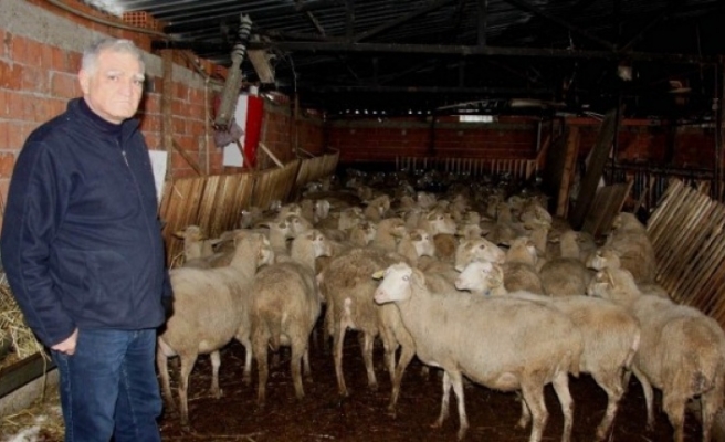 Bursa’da besicilerden Vekil Kılıç’a teşekkür