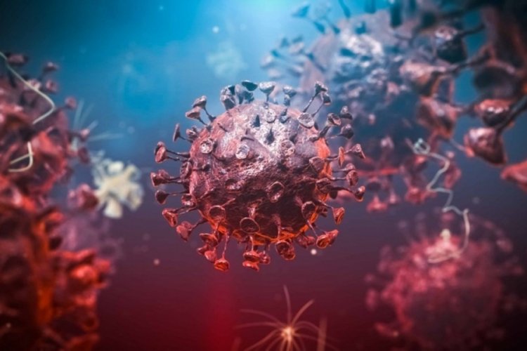 Bilim insanları virüsü tuzağa düşürecek: Nanoparçacık tasarlandı
