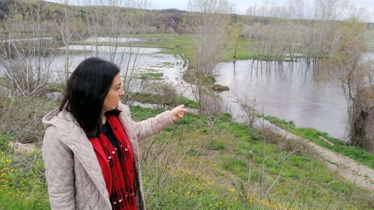 Tarlalar sular altında…CHP’li vekilden Nilüfer Çayı tepkisi!