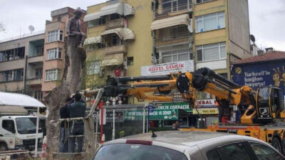 Bursa’da ağaç üstünde heykel!