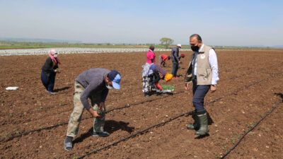 Mevsimlik tarım işçileri Bursa’ya geldi