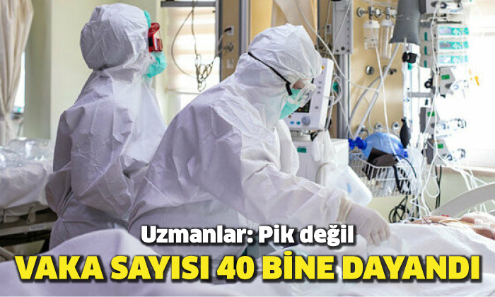 Vaka sayısı 40 bine dayandı! Uzmanlar: Pik değil