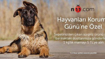 n11.com’dan 4 Nisan Dünya Sokak Hayvanları Günü’ne Özel Kampanya!