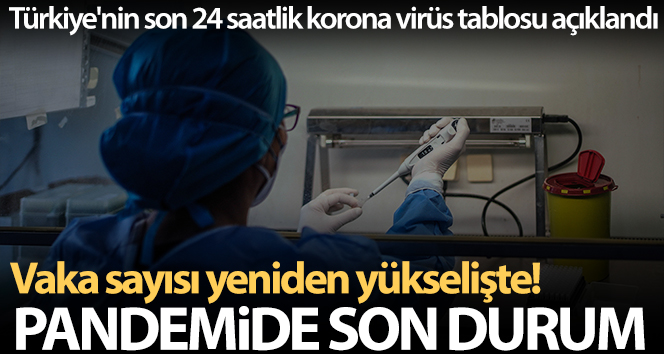 24 saatte 43.301 yeni vaka!