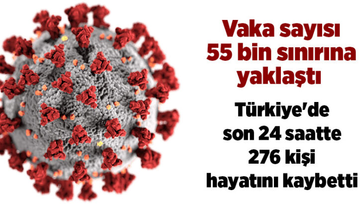 Türkiye’de son 24 saatte 276 kişi hayatını kaybetti.