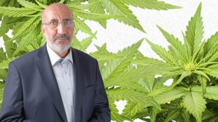 Dilipak: Kenevirin her şeyine muhtacız
