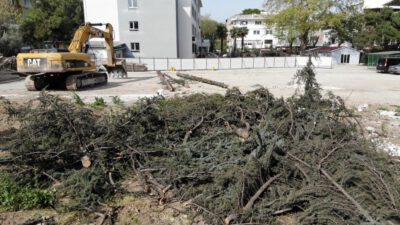 Bursa’da okul bahçesindeki ağaç katliamını mahalleli önledi