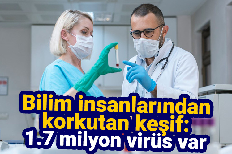 Bilim insanlarından korkutan keşif: 1.7 milyon virüs var