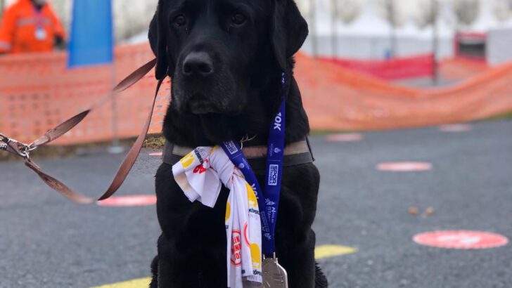 N Kolay Yarı Maratonu’nda Rehber Köpekler için Koştular