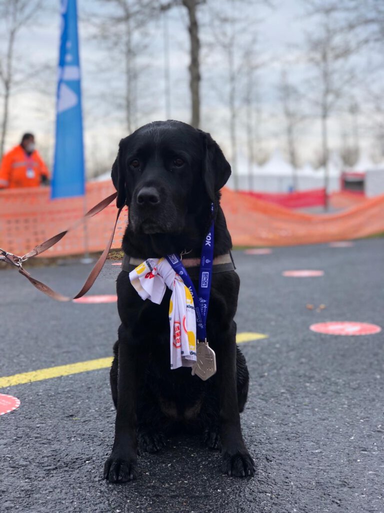 N Kolay Yarı Maratonu’nda Rehber Köpekler için Koştular