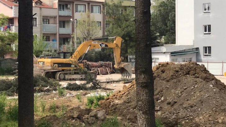 Spor salonu için 70 yıllık ağaçları kesmeye çalıştılar