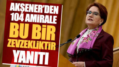 ‘Bu bir zevzekliktir’