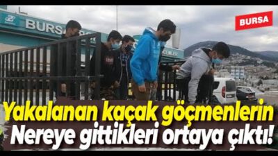 Bursa’da kısıtlamada yakalanan 8 kaçak göçmen, düğüne gidiyormuş