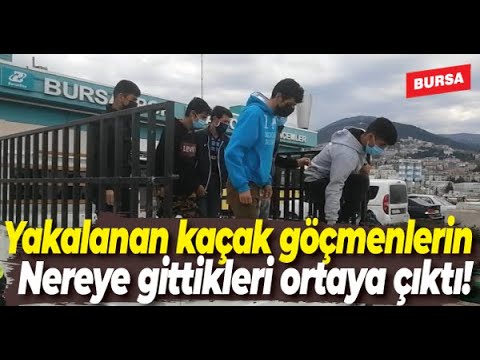 Bursa’da kısıtlamada yakalanan 8 kaçak göçmen, düğüne gidiyormuş