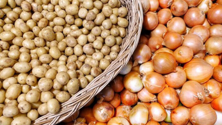 Bursalı yemek sanayicileri: “Türkiye tarımda planlı üretime geçmeli”