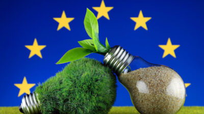 “Yeşil ekonomiye geçiş için sağlanacak fon ve teknolojilerden Türkiye de yararlanabilmeli”