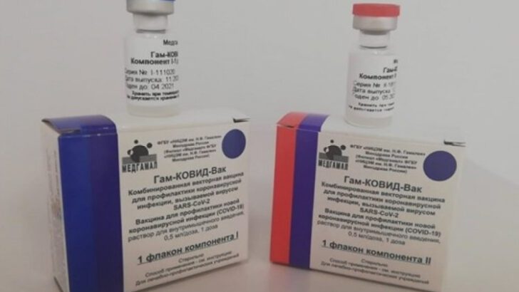 Kaç ülke onayladı, ne kadar koruyor: 10 soruda Rus aşısı