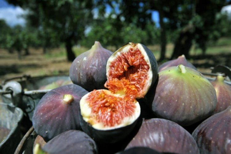 Bursa Siyahı’nın hedefi dünya pazarı