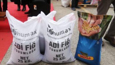 Karacabeyli üreticilere yüzde 75 hibeli kuru fasulye tohumu dağıtıldı