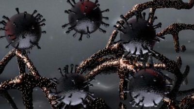 İnsanlara bulaşan iki yeni koronavirüs bulundu