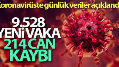 24 saatte 9.528 yeni vaka!