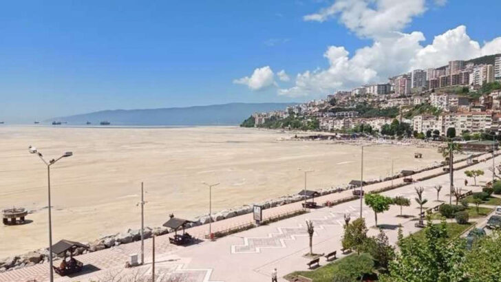 DOĞADER: Kirlilik Marmara Denizi’nin ölüm fermanını hazırladı