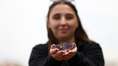 Bursa’nın 130 yıllık tarım lisesinde ekilen mor patatesten yüksek verim hedefleniyor