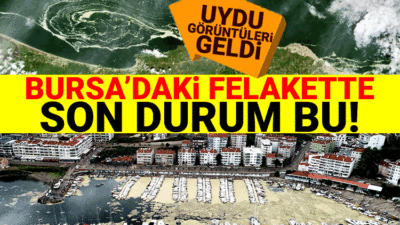 Çevre ve Şehircilik İl Müdürlüğü’nden deniz salyası açıklaması