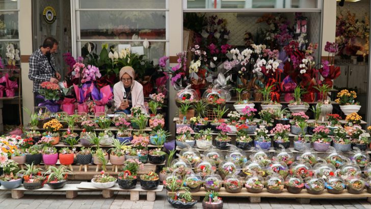 Bursa’da çiçek fiyatları! Anneler Günü öncesi mutlaka izleyin…