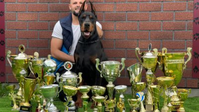 Ünlülerin Köpek Danışmanı Erdem Ayaz