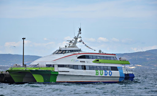Bursa-İstanbul deniz ulaşımı seferleri yeniden başlıyor