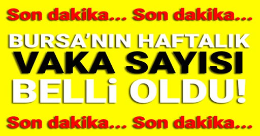 Bursa’nın vaka sayısı 110,35