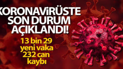 24 saatte 13.029 yeni vaka!