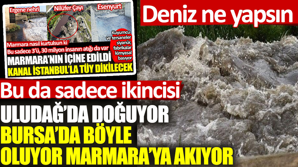 Nilüfer Çayı’ndaki suda canlı yaşamıyor!