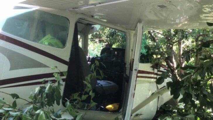 Eğitim uçağı havalimanı yerine meyve bahçesine indi! 2 kişi hafif yaralı