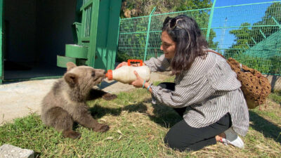 Güzel oyuncu, Bursa’da yavru ayıyı besledi
