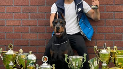 Dünyanın en ünlü köpek eğitmeni bir Türk: Erdem Ayaz