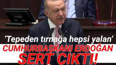Erdoğan: “Tepeden tırnağa hepsi yalan”