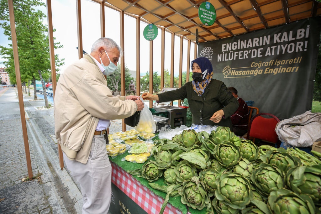 Hasanağa enginarına ulaşmak artık çok kolay