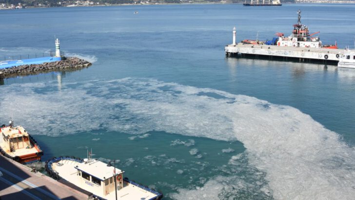 Kurum, müsilaj temizleme çalışmalarının sonuçlarını içeren fotoğrafları paylaştı